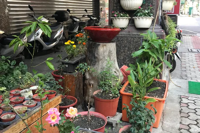 常喜牙醫診所 照片 12