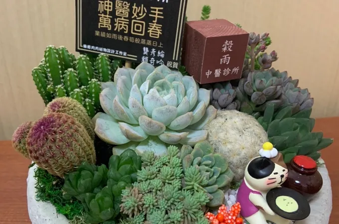 穀雨中醫診所 照片 5