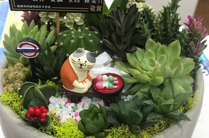 樂陽中醫診所 照片 6