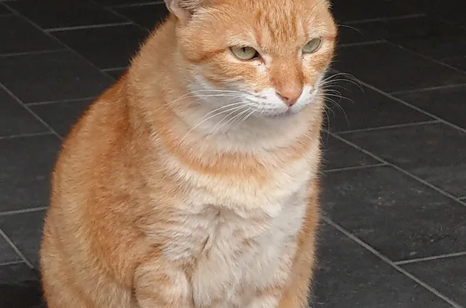 王瑞熙眼科診所 照片 5