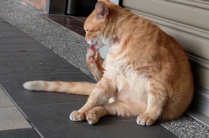 王瑞熙眼科診所 照片 8