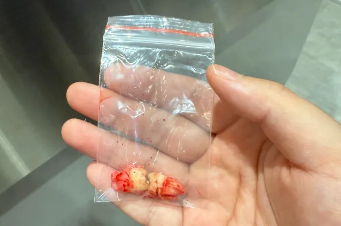 御辰牙醫診所 照片 5