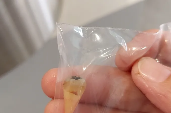 御辰牙醫診所 照片 7