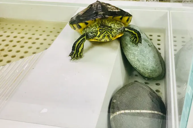 吾佳牙醫診所 照片 2