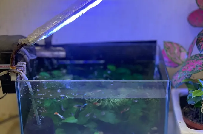 薛弘亮醫師診所 照片 6