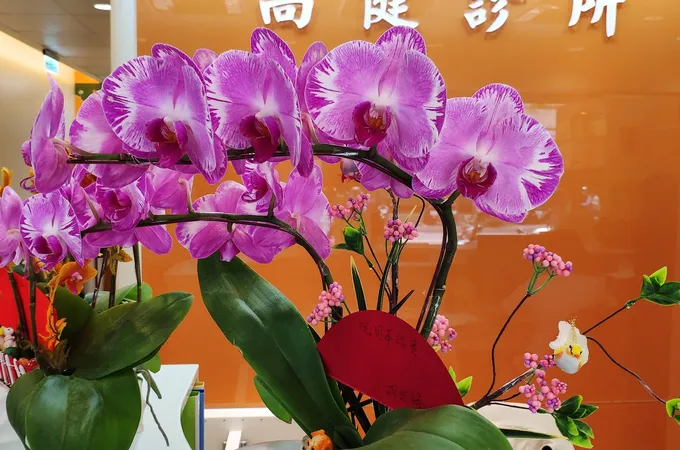 和順診所 照片 4