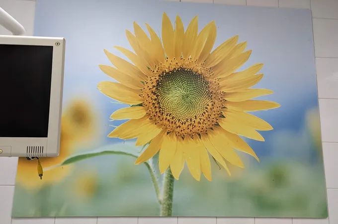 荷風牙醫診所 照片 3