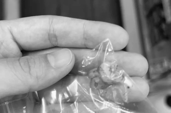 永東牙醫診所 照片 7