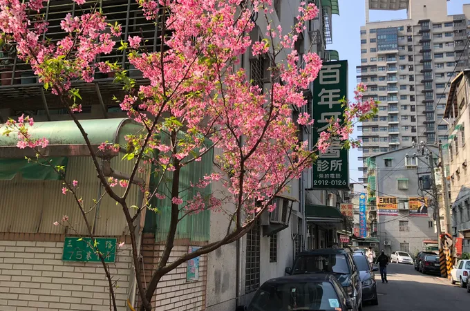 柏格牙醫診所 照片 2