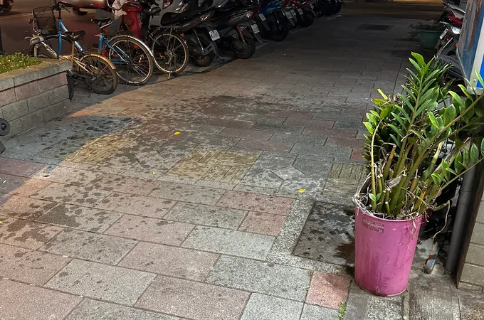 柏格牙醫診所 照片 4