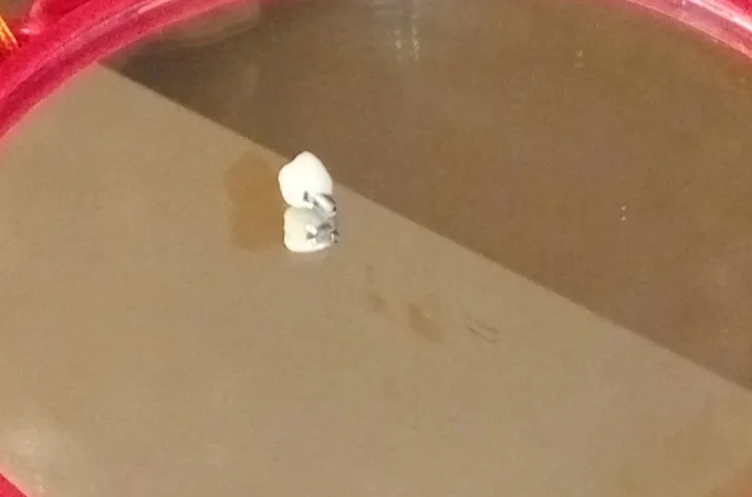 修正牙醫診所 照片 4