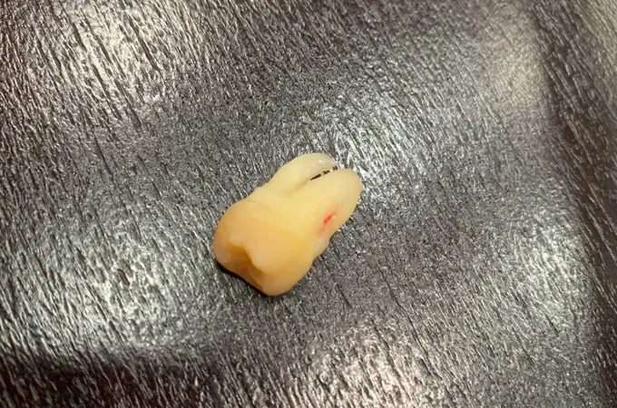 吉隆牙醫診所 照片 5