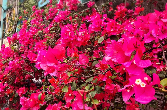 新北市萬里區衛生所 照片 5