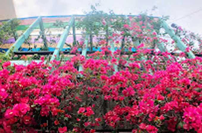 新北市萬里區衛生所 照片 7