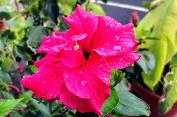 新北市萬里區衛生所 照片 8