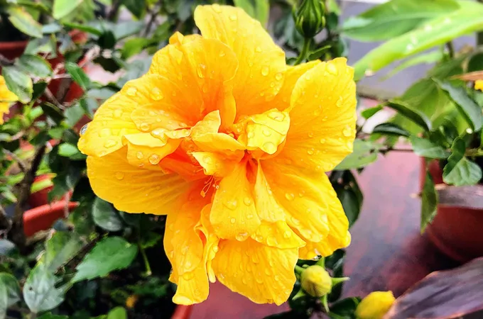 新北市萬里區衛生所 照片 9