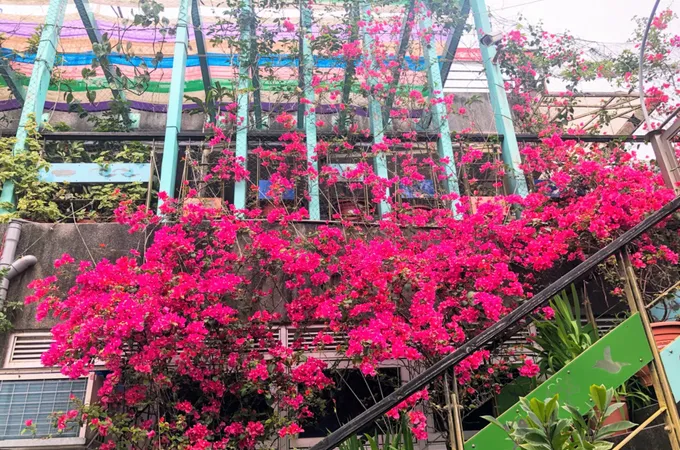 新北市萬里區衛生所 照片 10