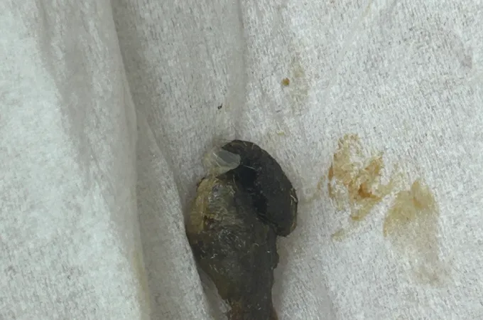 羅肇煒診所 照片 7