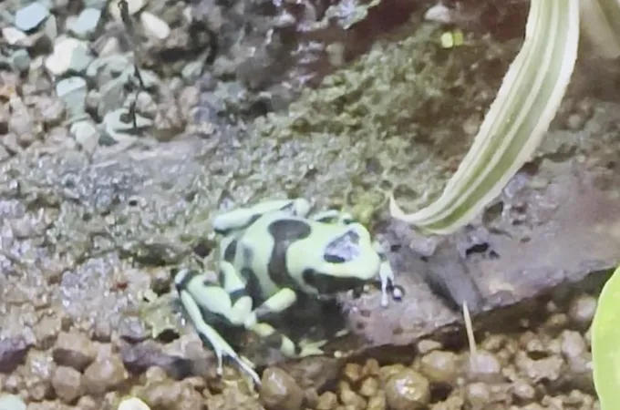 逸竹齒科牙醫診所 照片 2