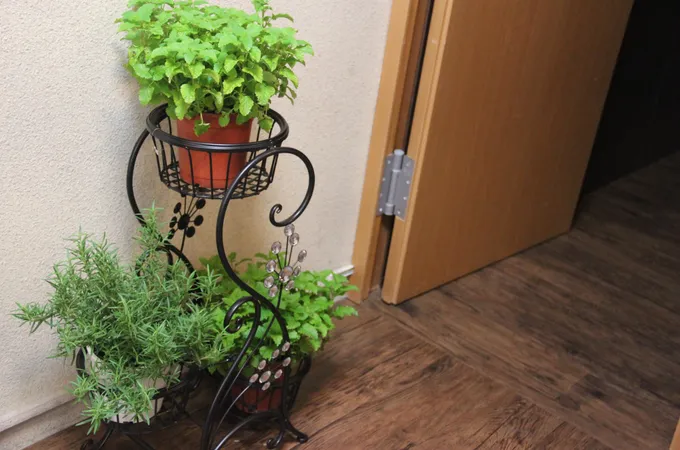 天莘中醫診所 照片 8