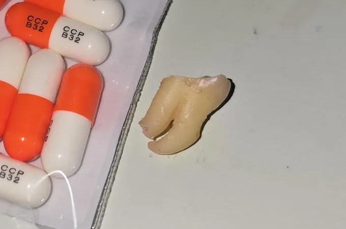 長木牙醫診所 照片 7