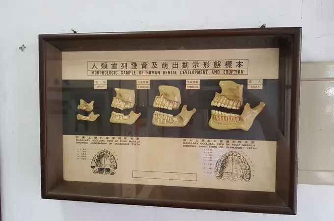 怡綵牙醫診所 照片 4