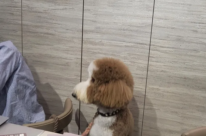 心維美學牙醫診所 照片 6