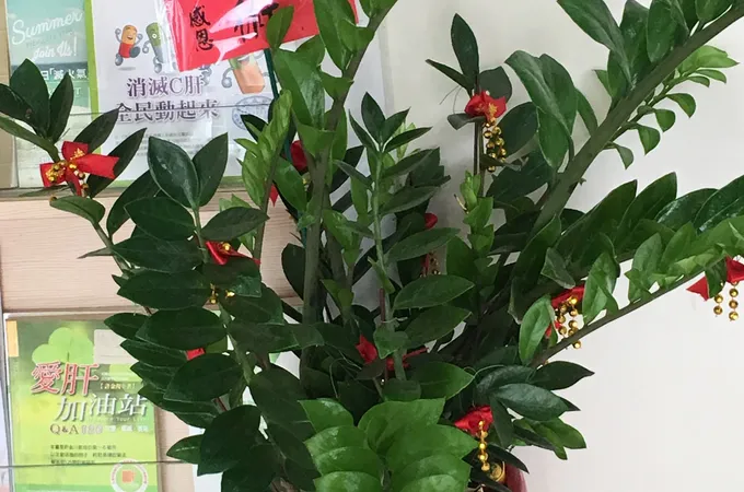 易修成診所 照片 7