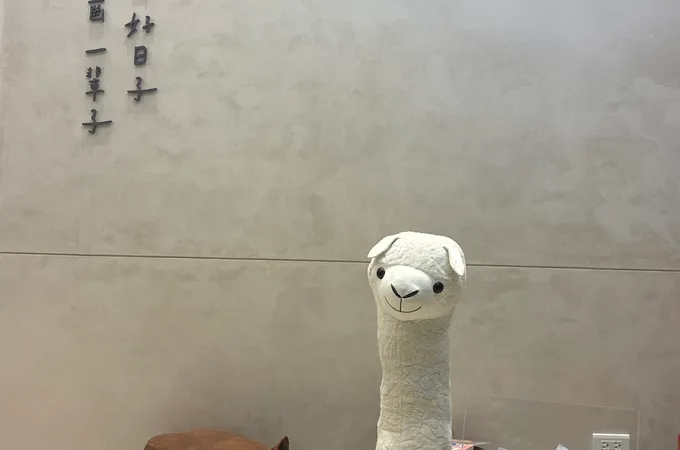 依貝美學牙醫診所 照片 3