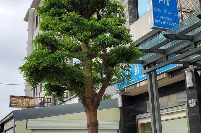 晶綻醫美診所 照片 5