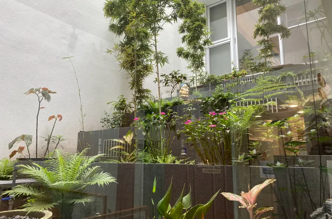 光禾診所 照片 2