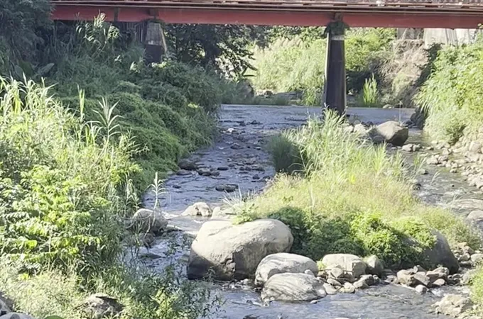 清安診所 照片 6