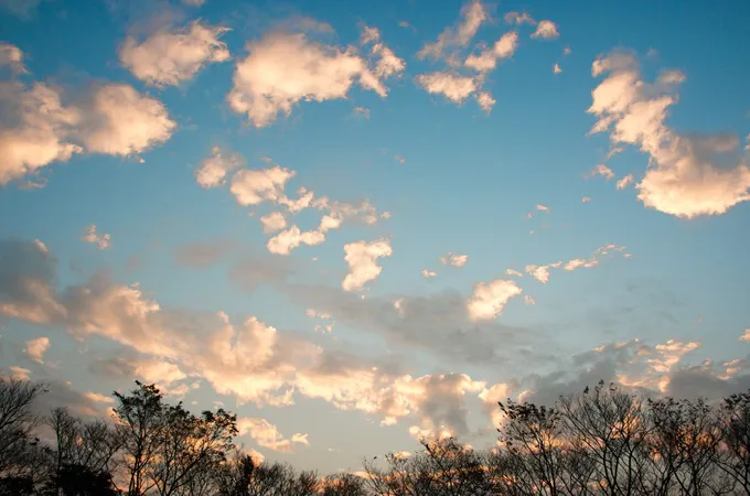 信安醫療社團法人信安醫院 照片 3