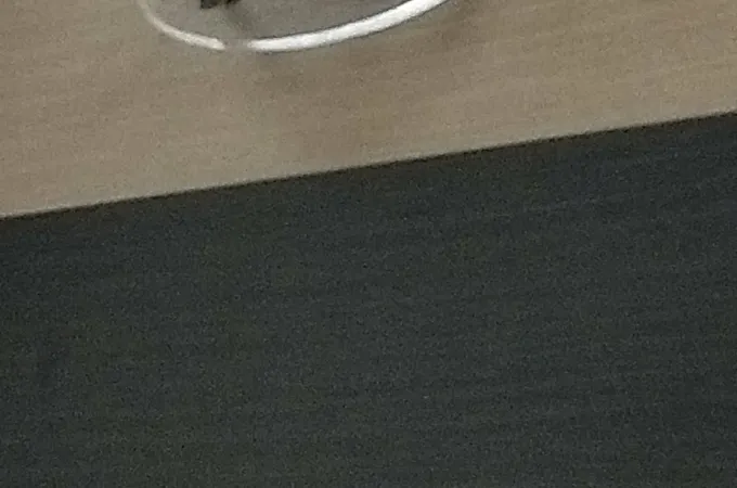 謝明安小兒科診所 照片 8