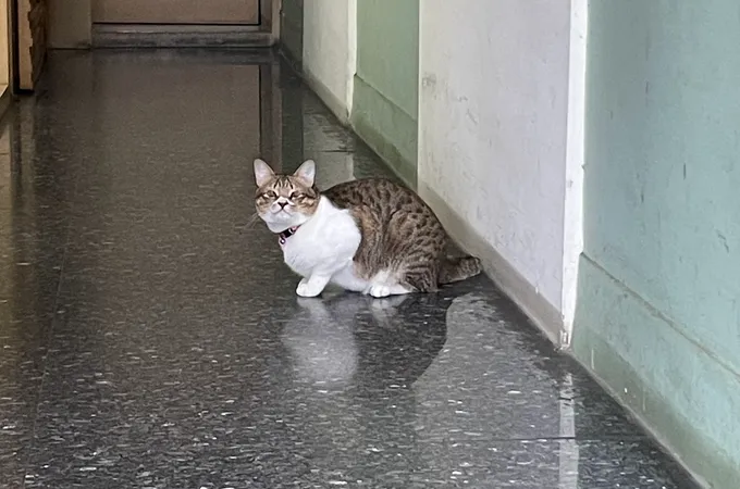 廖寶全診所 照片 3