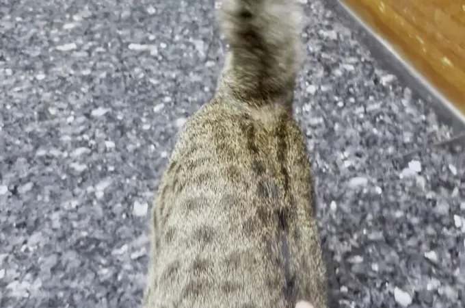 趙夢麒診所 照片 3