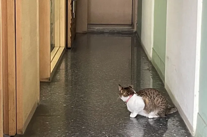 趙夢麒診所 照片 6