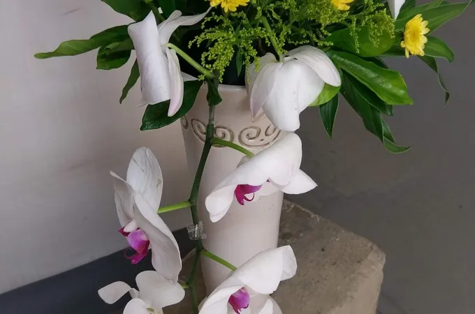 聰仁診所 照片 2