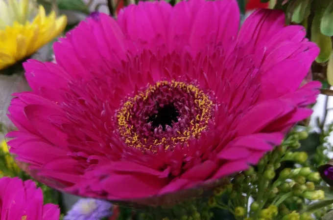 聰仁診所 照片 5