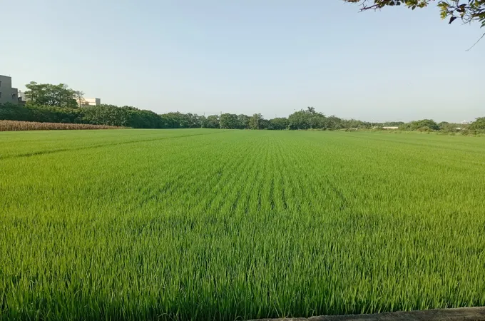 鼎和診所 照片 2