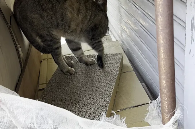 正麒牙醫診所 照片 3