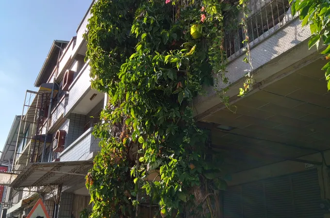 洮俊診所 照片 5