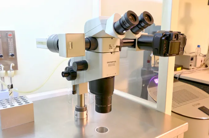 生泉婦產科診所 照片 5