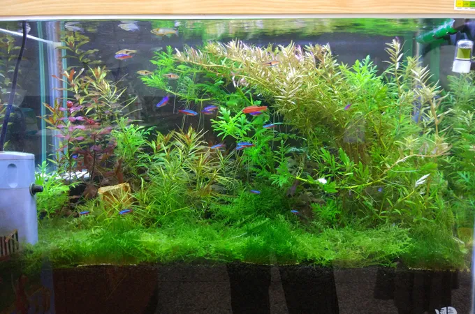 小太陽兒科聯合診所 照片 6