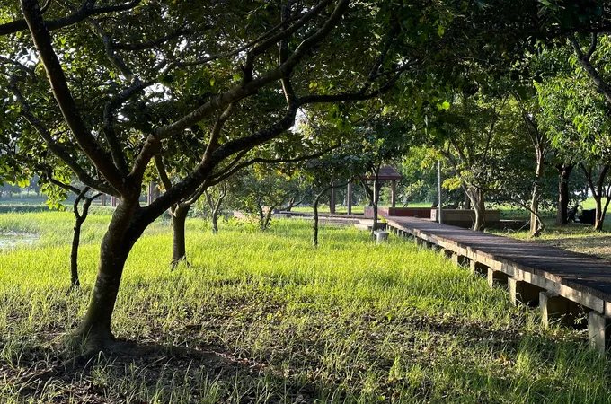 洪福枝診所 照片 4