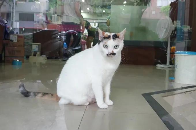 東港馬光中醫診所 照片 5