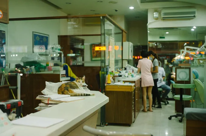 東港馬光中醫診所 照片 6