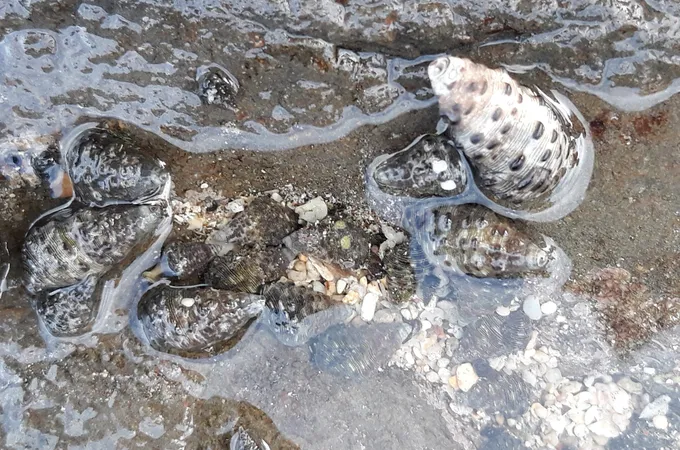 杏元診所 照片 4