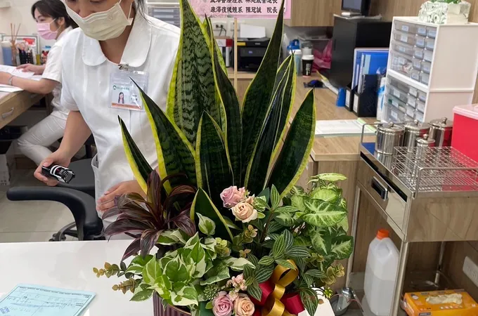 龍泉晨安診所 照片 3