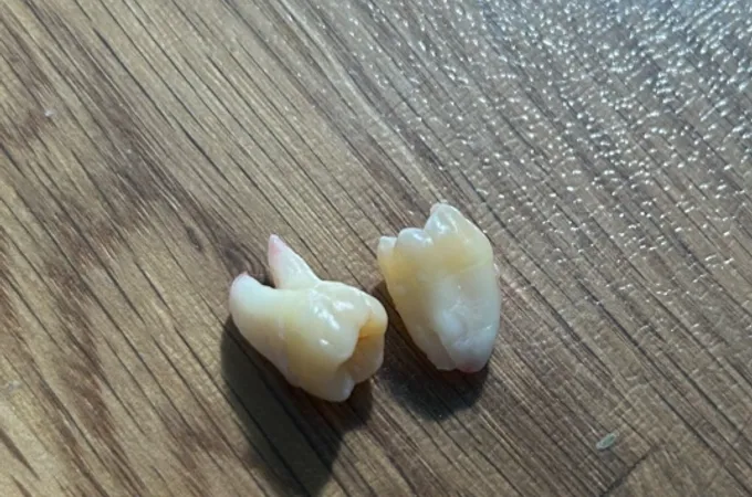 屏東縣內埔鄉衛生所 照片 5